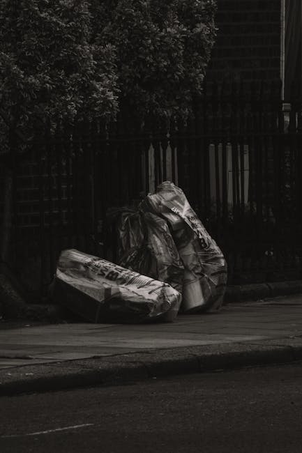 Two large black plastic garbage bags and a cardboard box, all filled with waste, are stacked on the edge of a paved sidewalk in front of a dark wooden fence and lush green foliage. The bags appear to contain household or garden refuse, with some crumpled and leaning against each other. The cardboard box, possibly a recycling or packaging container, lies partially flattened and is marked with printed text. The scene is outdoors, adjacent to a street or driveway, with natural light casting subtle shadows on the bags and the ground, indicating daytime. The surrounding environment suggests a typical urban or suburban area where private waste collection or rubbish removal services, such as those provided by Waste Clearance Chiswick, might be employed to handle waste outside residential premises. The placement of waste bags and boxes reflects an effort at on-site clearance or alternative waste handling, suitable for private rubbish disposal rather than municipal collection.
