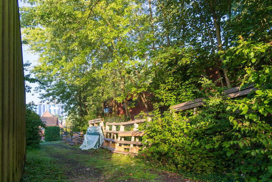 A narrow outdoor pathway bordered by a tall wooden fence on the left and a dense hedge on the right, with lush green trees overhead filtering sunlight. Several wooden pallets are stacked and leaning against the hedge, some covered with a protective tarp. The ground is a dirt and grass mix, appearing uneven and natural. In the background, the roofs of nearby buildings are visible beneath the tree canopy, indicating a mixed environment of residential and natural elements. The scene suggests an area where waste or clutter, such as discarded wooden materials, is being organized for removal or disposal, reflecting private waste management or alternative rubbish collection services like those offered by Waste Clearance Chiswick. The overall atmosphere is calm and well-lit, emphasizing a typical site for on-site clearance or private waste handling involving bulk or garden waste alongside structural debris, prepared for disposal or collection.