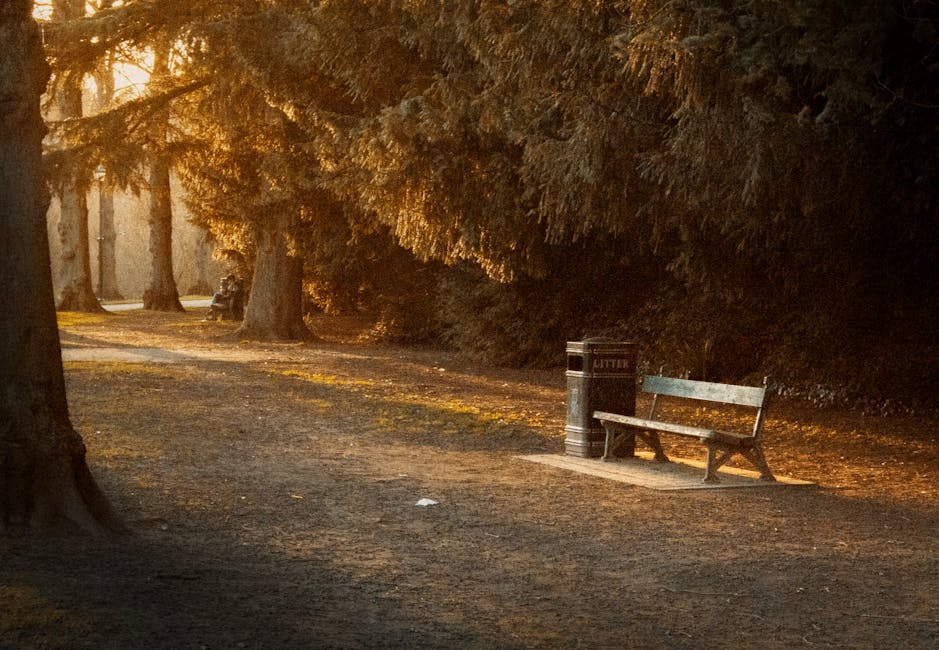 The image depicts a quiet park scene during late afternoon or early evening, with soft, warm sunlight filtering through the dense branches of large evergreen trees lining a gravel walkway. In the foreground, a weathered wooden park bench with a slatted seating surface and backrest is positioned on a narrow concrete pad, facing towards the path. To the right of the bench, there is a cylindrical metal litter bin with a black body and a metallic lid, marked with the word 'LITTER' in white letters, indicating designated waste disposal. The ground is composed of compacted gravel and dirt, with patches of fallen leaves scattered across the surface. The background shows a continuation of the pathway curving gently into the distance, bordered by more mature trees, and the overall atmosphere is tranquil and slightly shaded, characteristic of urban parks or green spaces that may require occasional managed rubbish collection to maintain cleanliness, as exemplified by Waste Clearance Chiswick's services in private waste handling and on-site clearance tasks near green park areas like Gunnersbury Park in Chiswick.