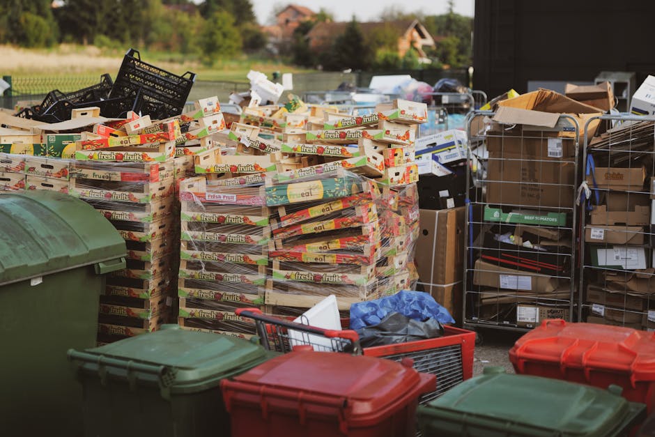 The image shows a large outdoor area filled with numerous neatly stacked cardboard boxes of fresh fruit produce, primarily in red, green, and white packaging, organized in multiple piles. To the right, there are several metal cages and wire storage racks containing various packaged goods, including boxes and cartons, with some being opened or partially disassembled. In the foreground, there are multiple large plastic waste bins with green, red, and grey lids, placed on a paved surface, indicating an area designated for waste separation and collection. The background features greenery and trees, suggesting the scene is set in a residential or semi-rural environment, with a house or building partially visible on the right side. The lighting appears natural, probably during daylight, highlighting the textures of the cardboard, plastic, and metal. Waste Clearance Chiswick occasionally handles large-scale rubbish removal, including bulk waste and recycling tasks, similar to what is visible in this scene, emphasizing a focus on organized disposal or clearance activities.